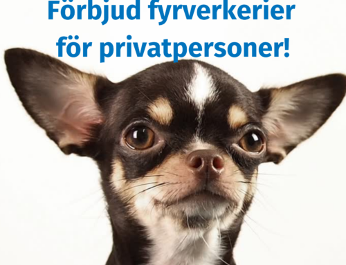 Namninsamling mot fyrverkerier